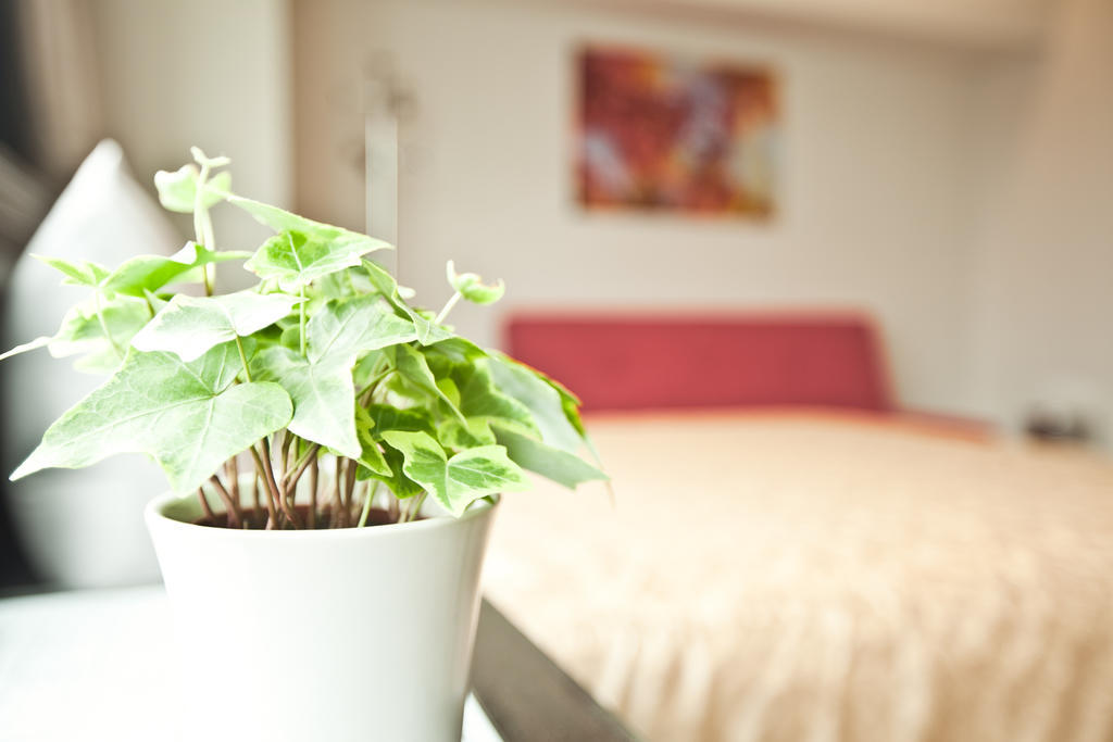 Sodamazon Business Hotel Zhongli Quarto foto